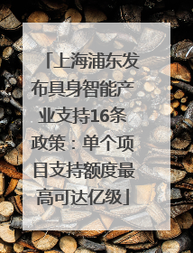 上海浦东发布具身智能产业支持16条政策：单个项目支持额度最高可达亿级