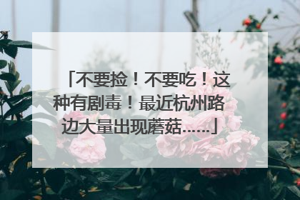 不要捡！不要吃！这种有剧毒！最近杭州路边大量出现蘑菇……