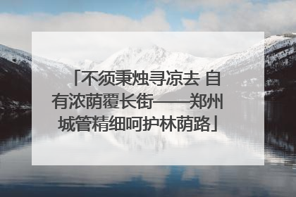 不须秉烛寻凉去 自有浓荫覆长街——郑州城管精细呵护林荫路