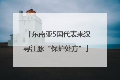 东南亚5国代表来汉寻江豚“保护处方”