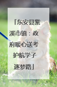 东安县紫溪市镇：政府暖心送考 护航学子逐梦路
