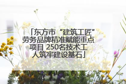 东方市“建筑工匠”劳务品牌精准赋能重点项目 250名技术工人筑牢建设基石