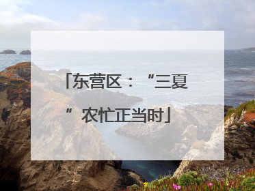 东营区：“三夏”农忙正当时