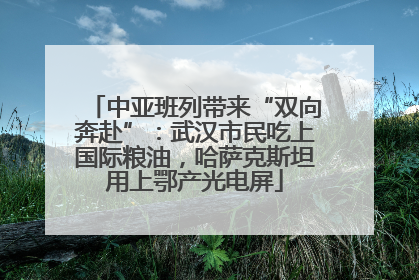 中亚班列带来“双向奔赴”：武汉市民吃上国际粮油，哈萨克斯坦用上鄂产光电屏