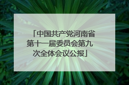 中国共产党河南省第十一届委员会第九次全体会议公报