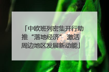 中欧班列密集开行助推“落地经济” 激活周边地区发展新动能