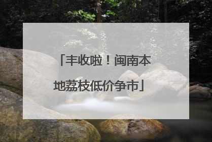 丰收啦！闽南本地荔枝低价争市