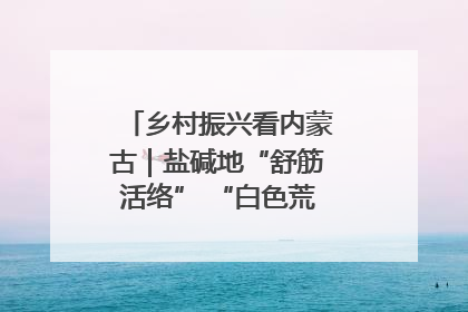 乡村振兴看内蒙古｜盐碱地“舒筋活络” “白色荒漠”长出吨粮田