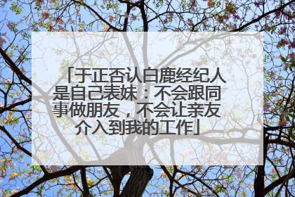于正否认白鹿经纪人是自己表妹：不会跟同事做朋友，不会让亲友介入到我的工作