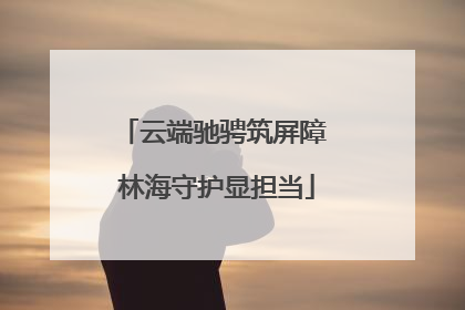 云端驰骋筑屏障 林海守护显担当