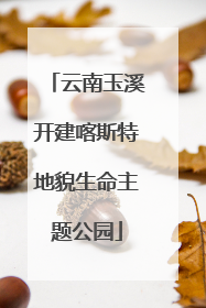 云南玉溪开建喀斯特地貌生命主题公园