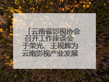 云南省影视协会召开工作座谈会 于荣光、王砚辉为云南影视产业发展出谋划策
