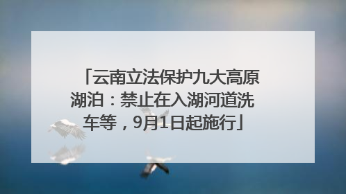 云南立法保护九大高原湖泊：禁止在入湖河道洗车等，9月1日起施行