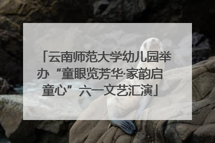云南师范大学幼儿园举办“童眼览芳华·家韵启童心”六一文艺汇演