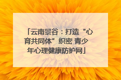 云南景谷：打造“心育共同体”织密 青少年心理健康防护网