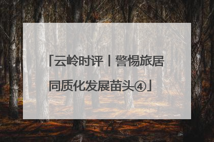 云岭时评丨警惕旅居同质化发展苗头④