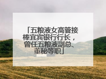五粮液女高管接棒宜宾银行行长，曾任五粮液副总、董秘等职