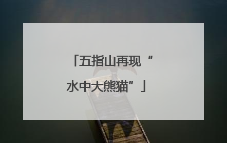 五指山再现“水中大熊猫”
