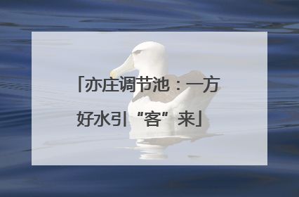 亦庄调节池：一方好水引“客”来
