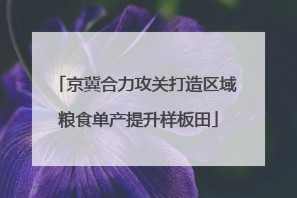 京冀合力攻关打造区域粮食单产提升样板田
