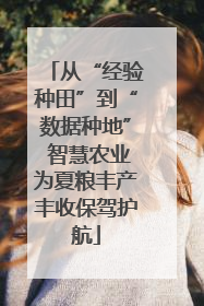 从“经验种田”到“数据种地” 智慧农业为夏粮丰产丰收保驾护航
