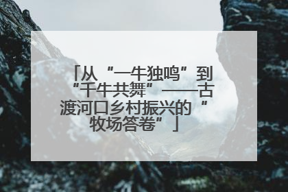 从“一牛独鸣”到“千牛共舞”——古渡河口乡村振兴的“牧场答卷”