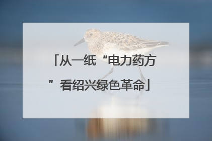 从一纸“电力药方”看绍兴绿色革命