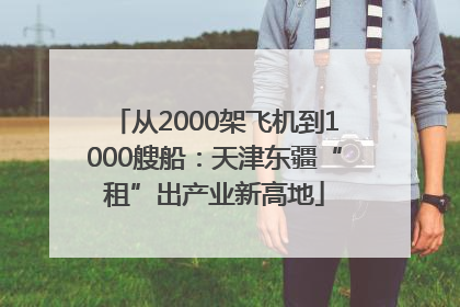 从2000架飞机到1000艘船：天津东疆“租”出产业新高地