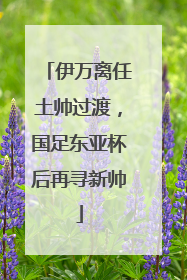 伊万离任土帅过渡，国足东亚杯后再寻新帅