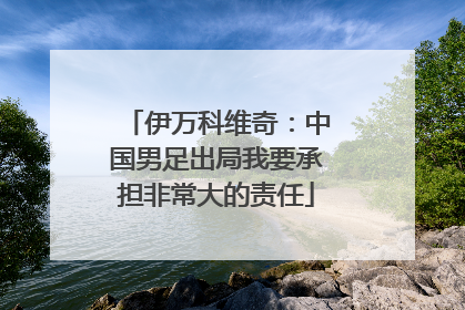 伊万科维奇：中国男足出局我要承担非常大的责任