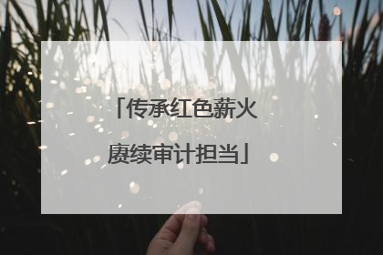 传承红色薪火 赓续审计担当