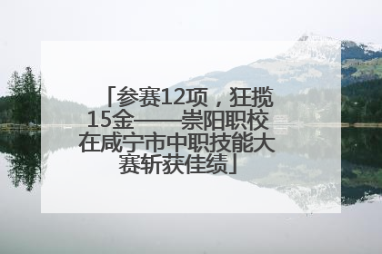 参赛12项，狂揽15金——崇阳职校在咸宁市中职技能大赛斩获佳绩