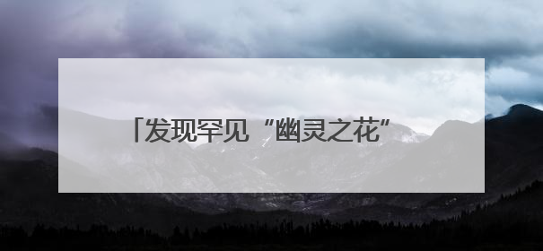 发现罕见“幽灵之花” 贵州植物家族再添新成员