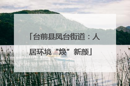 台前县凤台街道：人居环境“焕”新颜