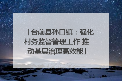 台前县孙口镇：强化村务监督管理工作 推动基层治理高效能