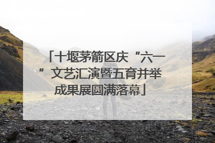 十堰茅箭区庆“六一”文艺汇演暨五育并举成果展圆满落幕
