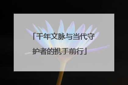 千年文脉与当代守护者的携手前行