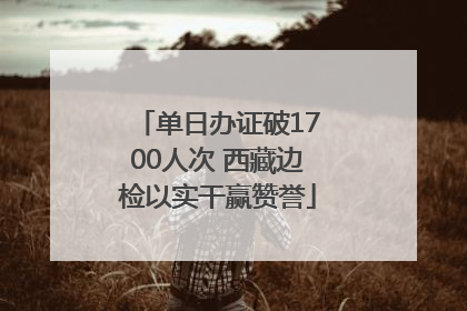 单日办证破1700人次 西藏边检以实干赢赞誉