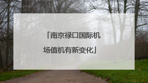 南京禄口国际机场值机有新变化