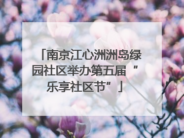 南京江心洲洲岛绿园社区举办第五届“乐享社区节”