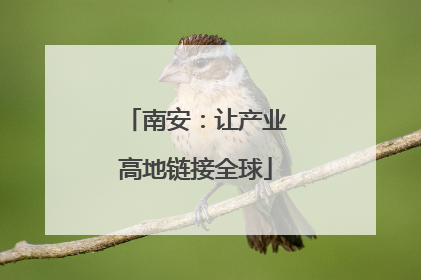 南安：让产业高地链接全球