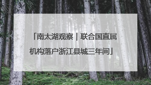 南太湖观察｜联合国直属机构落户浙江县城三年间