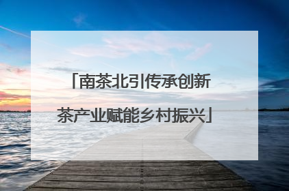 南茶北引传承创新 茶产业赋能乡村振兴