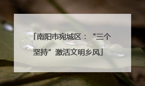 南阳市宛城区：“三个坚持”激活文明乡风