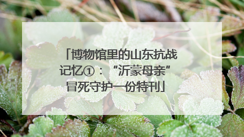 博物馆里的山东抗战记忆①：“沂蒙母亲”冒死守护一份特刊