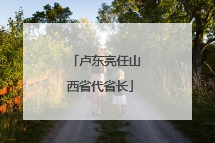 卢东亮任山西省代省长