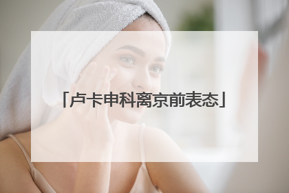 卢卡申科离京前表态