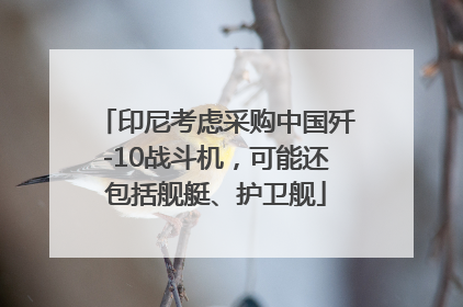 印尼考虑采购中国歼-10战斗机，可能还包括舰艇、护卫舰