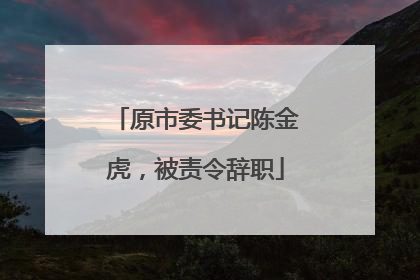 原市委书记陈金虎，被责令辞职