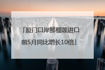 厦门口岸鲜榴莲进口 前5月同比增长10倍